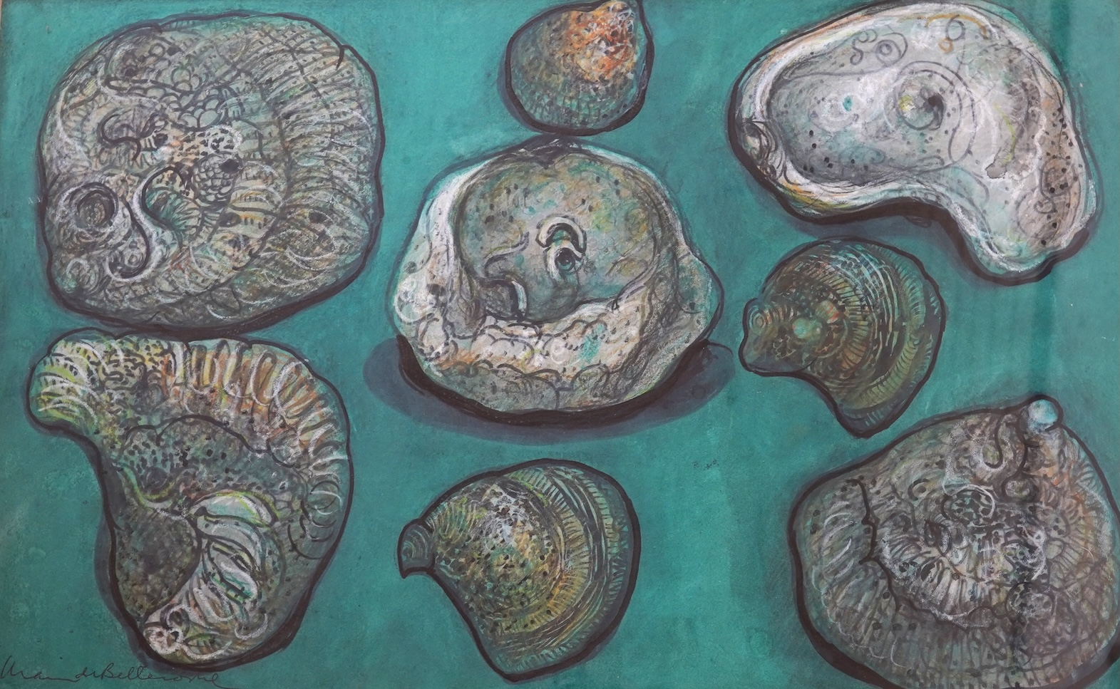 William de Belleroche (1912-1969), Still lifes of shells and plants, two signed and dated ‘61 and ‘67, largest 33 x 53cm